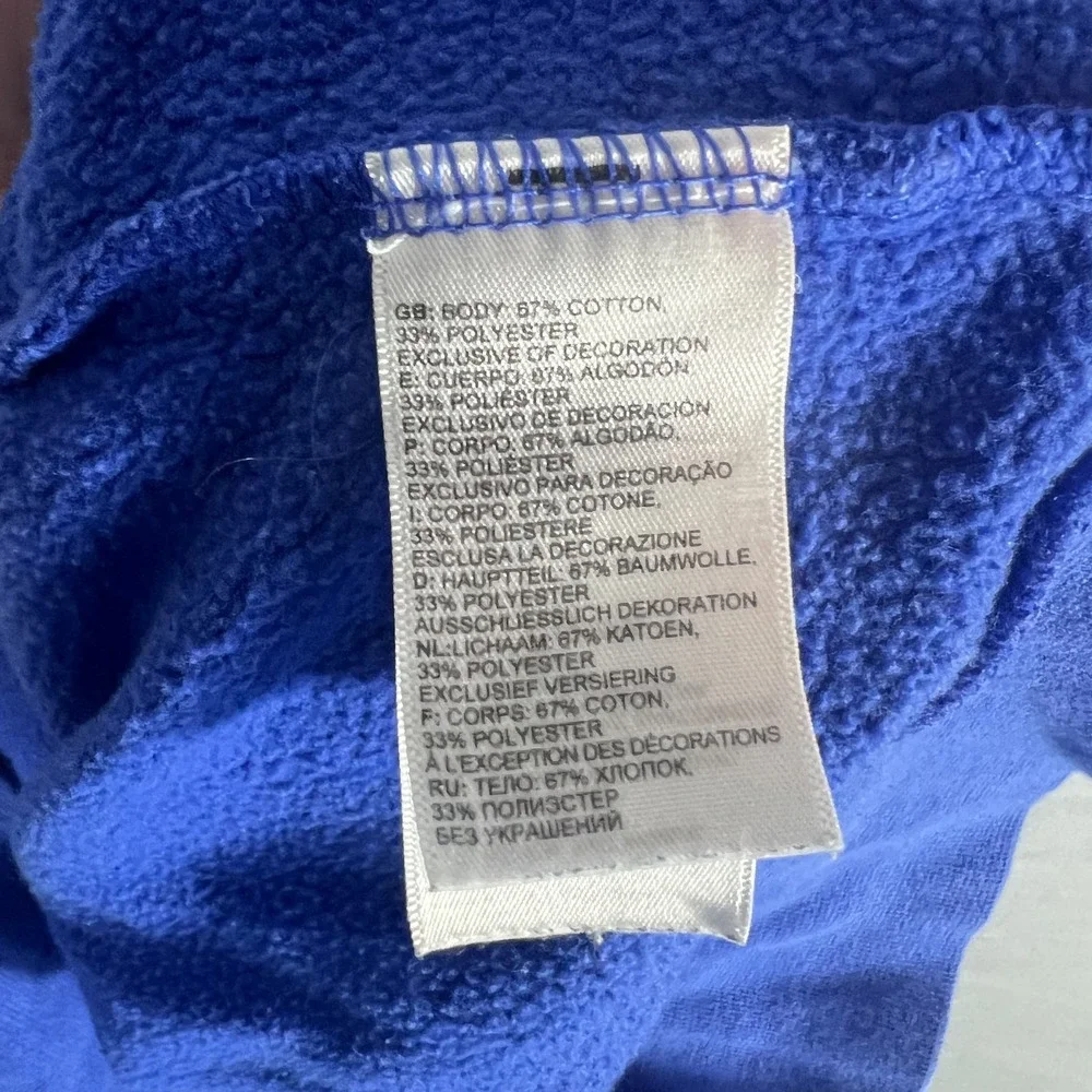 The North Face Men's Blue Pullover Hoodie 